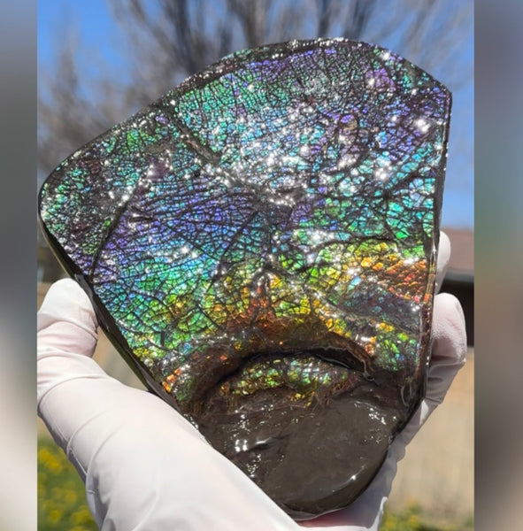 6.89" Stunning Double-sided, Rainbow colour! Ammolite Center Piece,Display Stone,Handheld Specimen 87mm,Fossil,Metaphysical,FREE STANDING