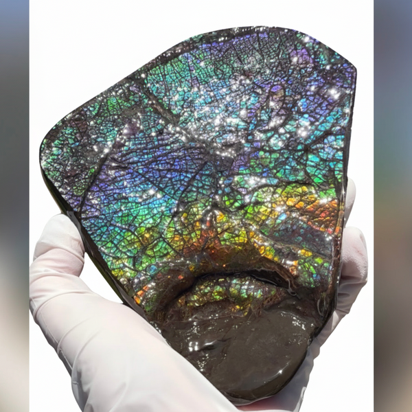 6.89" Stunning Double-sided, Rainbow colour! Ammolite Center Piece,Display Stone,Handheld Specimen 87mm,Fossil,Metaphysical,FREE STANDING