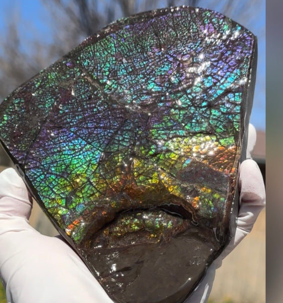 6.89" Stunning Double-sided, Rainbow colour! Ammolite Center Piece,Display Stone,Handheld Specimen 87mm,Fossil,Metaphysical,FREE STANDING