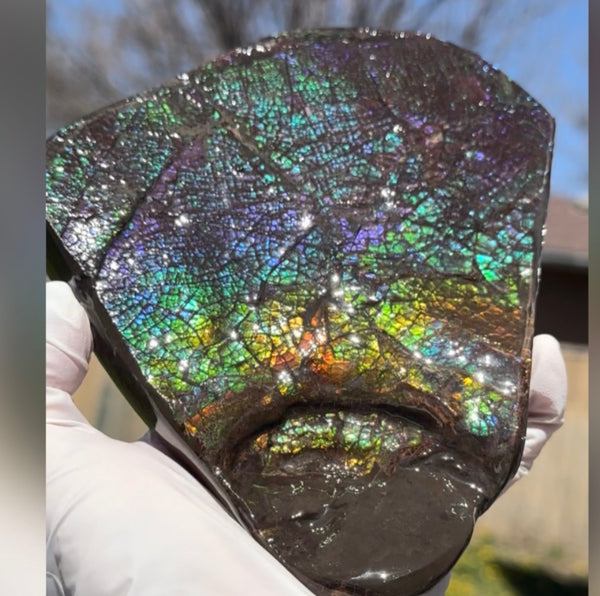 6.89" Stunning Double-sided, Rainbow colour! Ammolite Center Piece,Display Stone,Handheld Specimen 87mm,Fossil,Metaphysical,FREE STANDING