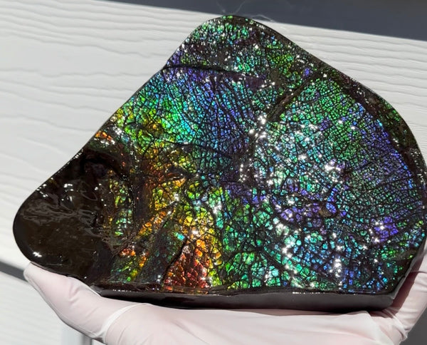 6.89" Stunning Double-sided, Rainbow colour! Ammolite Center Piece,Display Stone,Handheld Specimen 87mm,Fossil,Metaphysical,FREE STANDING