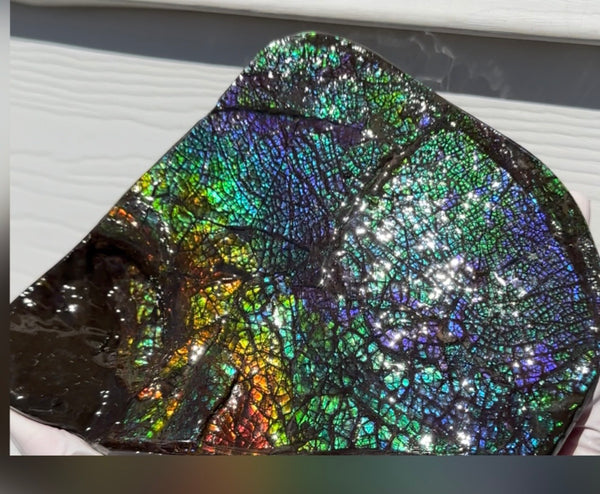 6.89" Stunning Double-sided, Rainbow colour! Ammolite Center Piece,Display Stone,Handheld Specimen 87mm,Fossil,Metaphysical,FREE STANDING