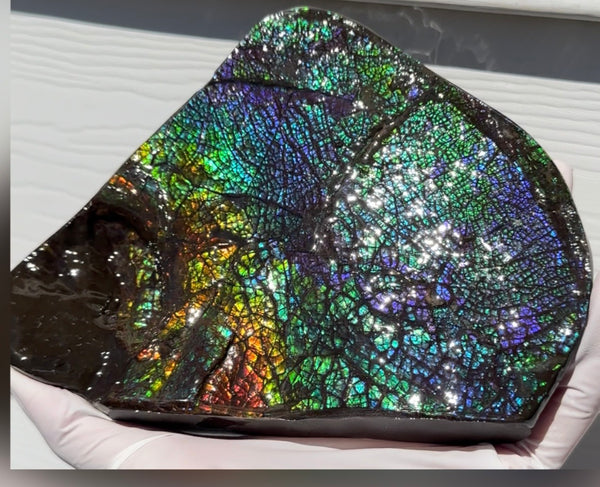 6.89" Stunning Double-sided, Rainbow colour! Ammolite Center Piece,Display Stone,Handheld Specimen 87mm,Fossil,Metaphysical,FREE STANDING