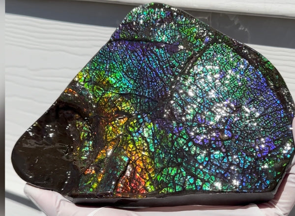 6.89" Stunning Double-sided, Rainbow colour! Ammolite Center Piece,Display Stone,Handheld Specimen 87mm,Fossil,Metaphysical,FREE STANDING