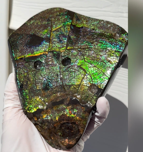 6.89" Stunning Double-sided, Rainbow colour! Ammolite Center Piece,Display Stone,Handheld Specimen 87mm,Fossil,Metaphysical,FREE STANDING