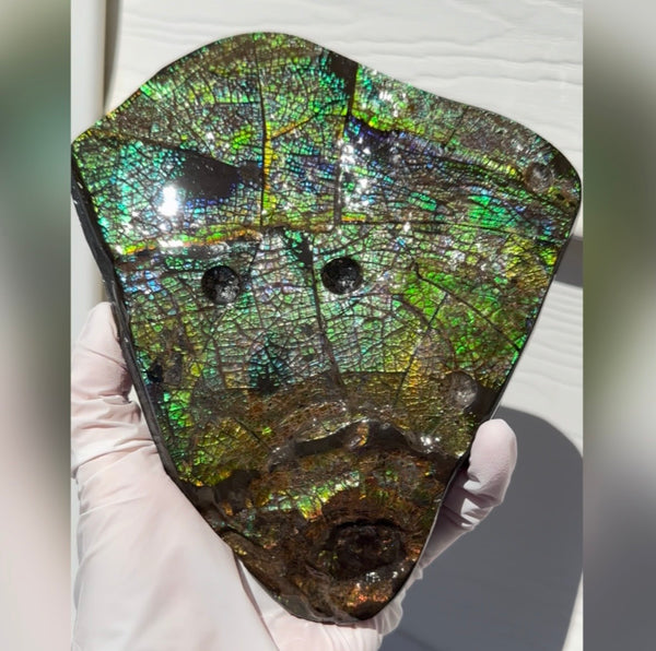 6.89" Stunning Double-sided, Rainbow colour! Ammolite Center Piece,Display Stone,Handheld Specimen 87mm,Fossil,Metaphysical,FREE STANDING