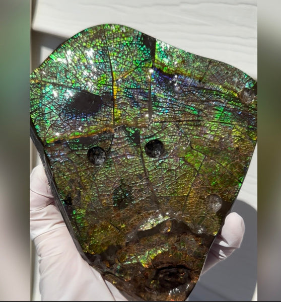 6.89" Stunning Double-sided, Rainbow colour! Ammolite Center Piece,Display Stone,Handheld Specimen 87mm,Fossil,Metaphysical,FREE STANDING