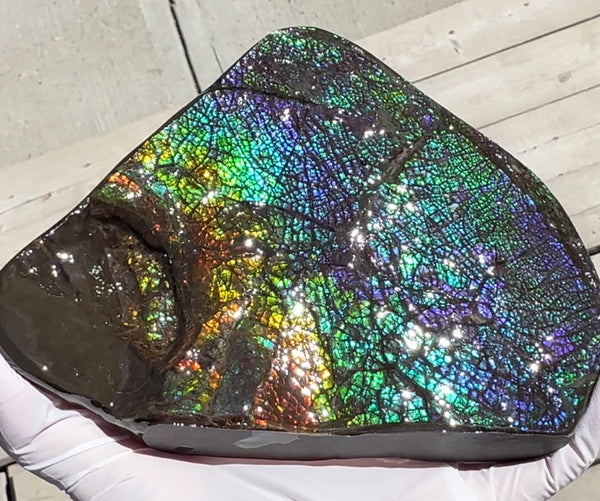 6.89" Stunning Double-sided, Rainbow colour! Ammolite Center Piece,Display Stone,Handheld Specimen 87mm,Fossil,Metaphysical,FREE STANDING