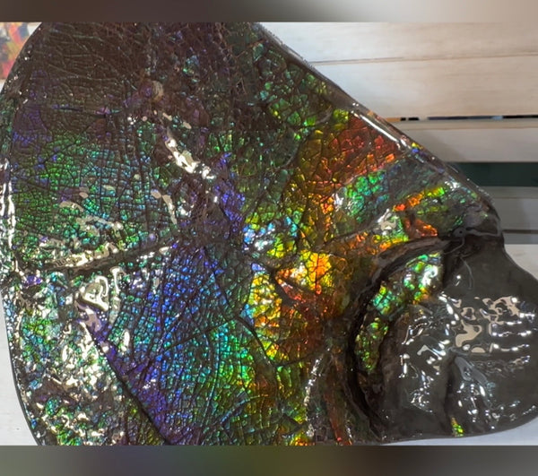 6.89" Stunning Double-sided, Rainbow colour! Ammolite Center Piece,Display Stone,Handheld Specimen 87mm,Fossil,Metaphysical,FREE STANDING