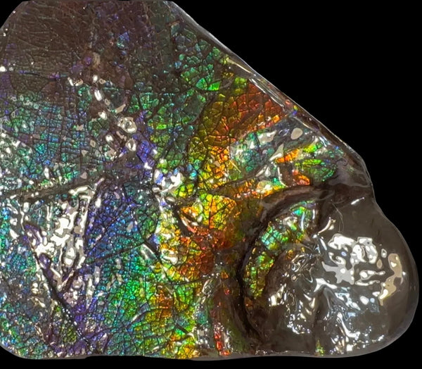6.89" Stunning Double-sided, Rainbow colour! Ammolite Center Piece,Display Stone,Handheld Specimen 87mm,Fossil,Metaphysical,FREE STANDING