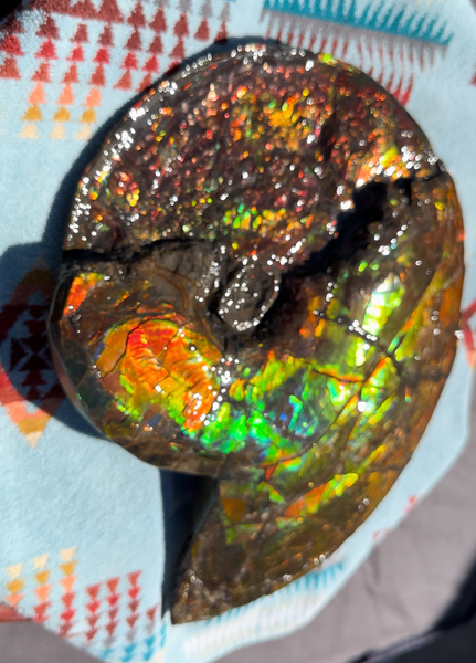12.75" Ammolite ,Double-Sided Rainbow, Specimen, Fossil,Ammonite, Collector Stone,Home decor,**FREE SHIPPING***　AF-111