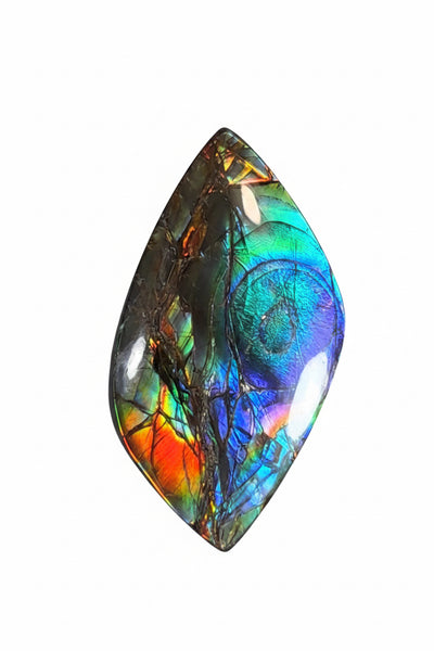 High-Grade Ammolite Gemstone with Stunning Ripple and Floral Patterns and Hints of Pink,  50x32.4mm Loose Gemstones,gemstone FFNT219 Free shipping!