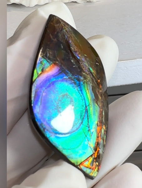 High-Grade Ammolite Gemstone with Stunning Ripple and Floral Patterns and Hints of Pink,  50x32.4mm Loose Gemstones,gemstone FFNT219 Free shipping!