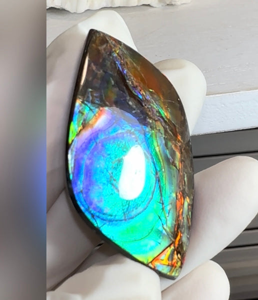 High-Grade Ammolite Gemstone with Stunning Ripple and Floral Patterns and Hints of Pink,  50x32.4mm Loose Gemstones,gemstone FFNT219 Free shipping!