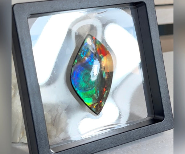 High-Grade Ammolite Gemstone with Stunning Ripple and Floral Patterns and Hints of Pink,  50x32.4mm Loose Gemstones,gemstone FFNT219 Free shipping!