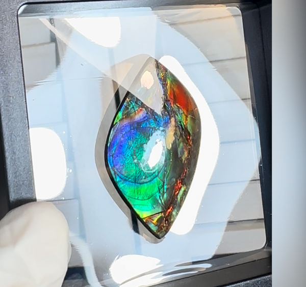 High-Grade Ammolite Gemstone with Stunning Ripple and Floral Patterns and Hints of Pink,  50x32.4mm Loose Gemstones,gemstone FFNT219 Free shipping!