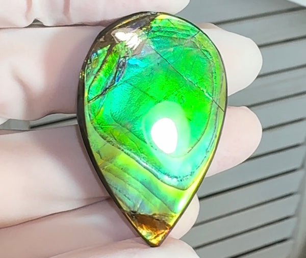 High-Grade Ammolite Gemstone with Stunning Ripple Patterns, 42x30mm Loose Gemstones,gemstone FFNT221 Free shipping