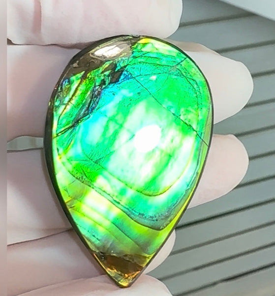 High-Grade Ammolite Gemstone with Stunning Ripple Patterns, 42x30mm Loose Gemstones,gemstone FFNT221 Free shipping
