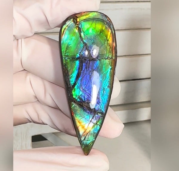 Large! High-Grade Ammolite Gemstone with Stunning Ripple Patterns,  61.5x24mm Loose Gemstones,gemstone FFNT220 Free shipping