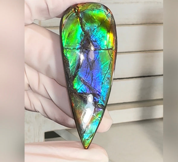 Large! High-Grade Ammolite Gemstone with Stunning Ripple Patterns,  61.5x24mm Loose Gemstones,gemstone FFNT220 Free shipping
