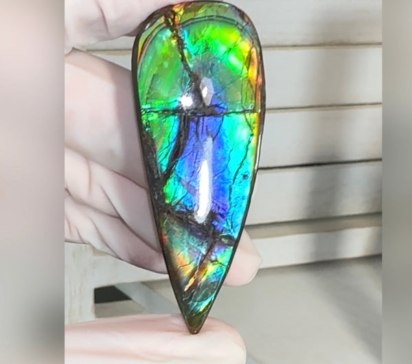 Large! High-Grade Ammolite Gemstone with Stunning Ripple Patterns,  61.5x24mm Loose Gemstones,gemstone FFNT220 Free shipping