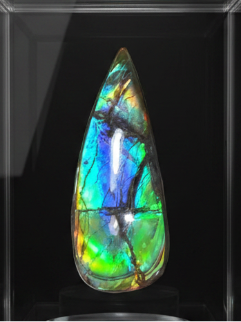 Large! High-Grade Ammolite Gemstone with Stunning Ripple Patterns,  61.5x24mm Loose Gemstones,gemstone FFNT220 Free shipping