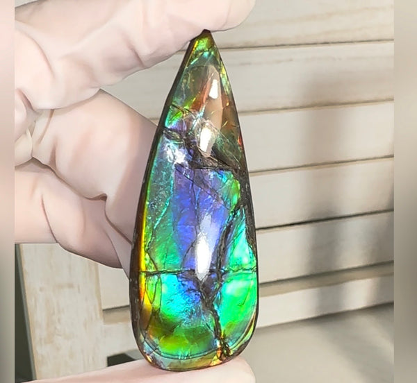 Large! High-Grade Ammolite Gemstone with Stunning Ripple Patterns,  61.5x24mm Loose Gemstones,gemstone FFNT220 Free shipping