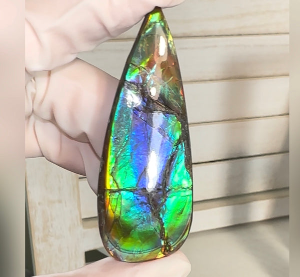 Large! High-Grade Ammolite Gemstone with Stunning Ripple Patterns,  61.5x24mm Loose Gemstones,gemstone FFNT220 Free shipping
