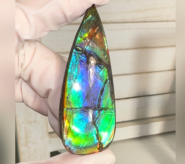 Large! High-Grade Ammolite Gemstone with Stunning Ripple Patterns,  61.5x24mm Loose Gemstones,gemstone FFNT220 Free shipping