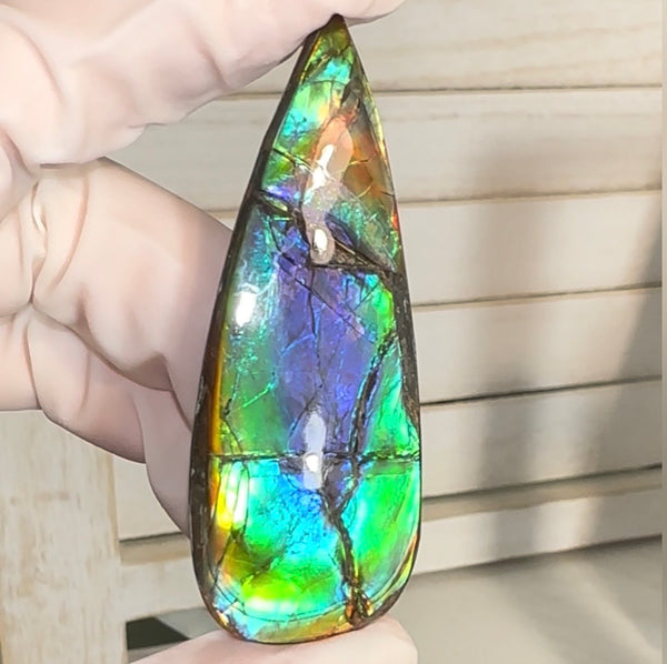 Large! High-Grade Ammolite Gemstone with Stunning Ripple Patterns,  61.5x24mm Loose Gemstones,gemstone FFNT220 Free shipping
