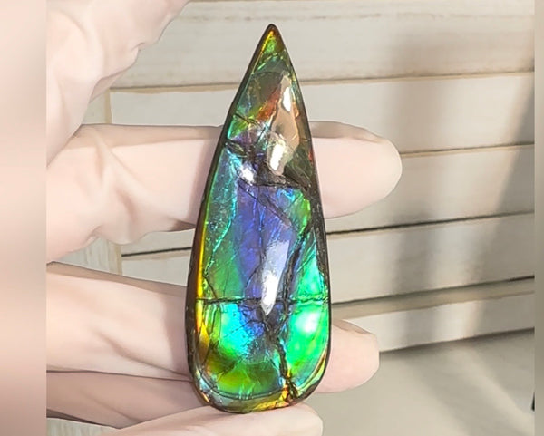 Large! High-Grade Ammolite Gemstone with Stunning Ripple Patterns,  61.5x24mm Loose Gemstones,gemstone FFNT220 Free shipping