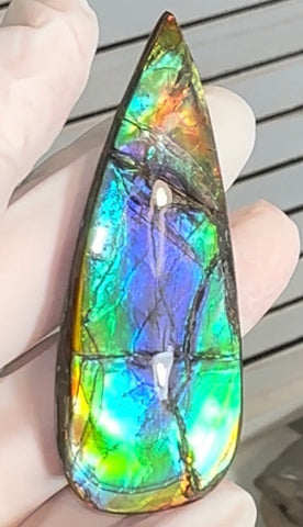 Large! High-Grade Ammolite Gemstone with Stunning Ripple Patterns,  61.5x24mm Loose Gemstones,gemstone FFNT220 Free shipping