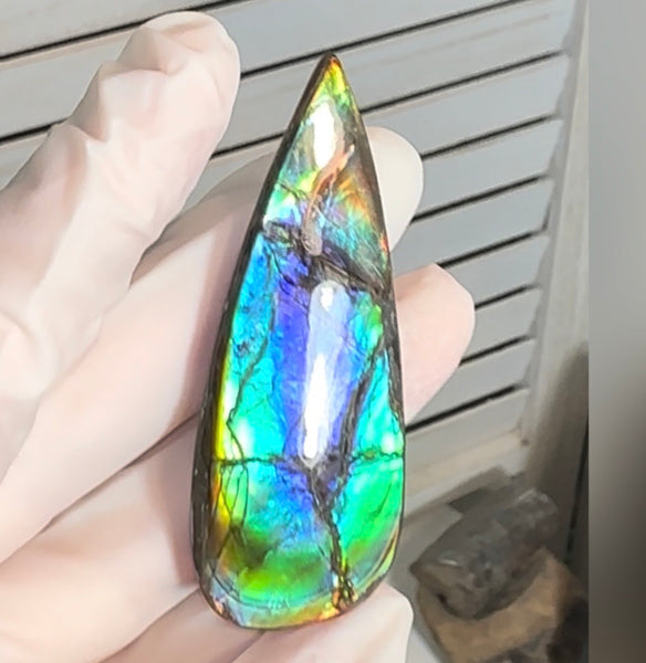Large! High-Grade Ammolite Gemstone with Stunning Ripple Patterns,  61.5x24mm Loose Gemstones,gemstone FFNT220 Free shipping