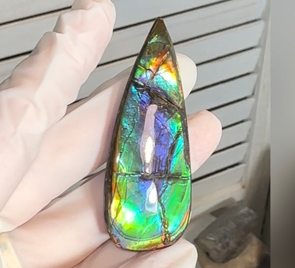 Large! High-Grade Ammolite Gemstone with Stunning Ripple Patterns,  61.5x24mm Loose Gemstones,gemstone FFNT220 Free shipping