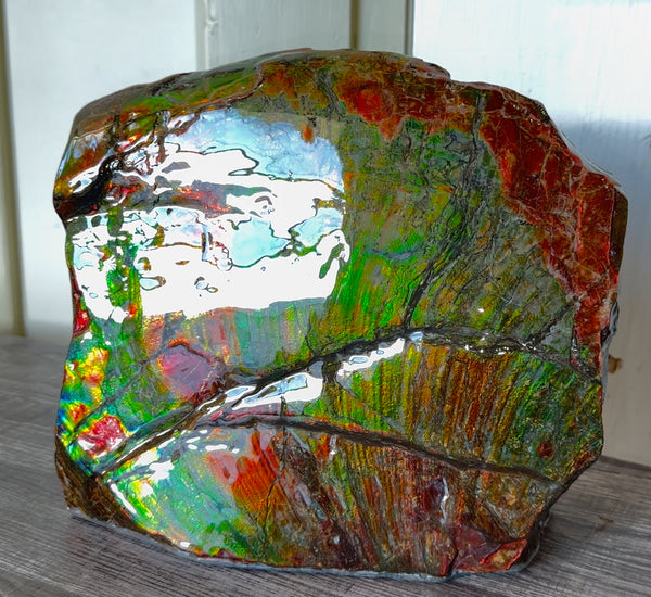 Ammolite Display Gem! , Collector's Gem, Handheld Specimen  Keel section piece,Double-sided,Fossi,Metaphysical,Home Decor,　CS-254 FREE SHIPPING
