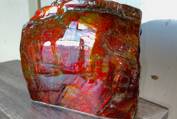 Ammolite Display Gem! , Collector's Gem, Handheld Specimen  Keel section piece,Double-sided,Fossi,Metaphysical,Home Decor,　CS-254 FREE SHIPPING