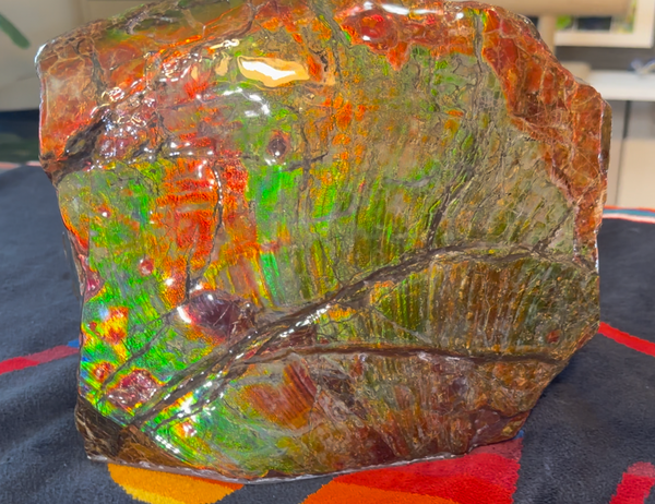 Ammolite Display Gem! , Collector's Gem, Handheld Specimen  Keel section piece,Double-sided,Fossi,Metaphysical,Home Decor,　CS-254 FREE SHIPPING