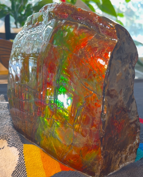 Ammolite Display Gem! , Collector's Gem, Handheld Specimen  Keel section piece,Double-sided,Fossi,Metaphysical,Home Decor,　CS-254 FREE SHIPPING