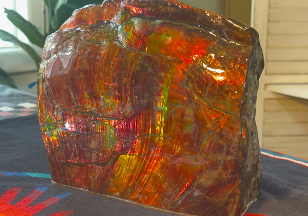 Ammolite Display Gem! , Collector's Gem, Handheld Specimen  Keel section piece,Double-sided,Fossi,Metaphysical,Home Decor,　CS-254 FREE SHIPPING