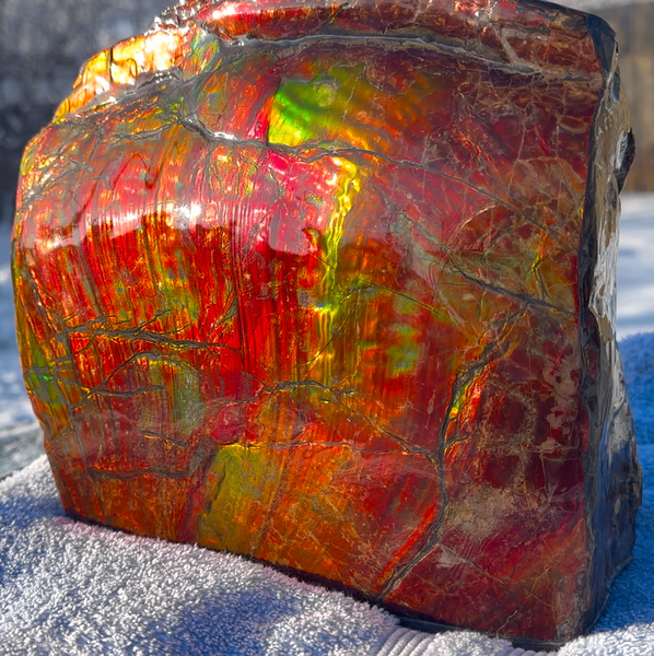 Ammolite Display Gem! , Collector's Gem, Handheld Specimen  Keel section piece,Double-sided,Fossi,Metaphysical,Home Decor,　CS-254 FREE SHIPPING