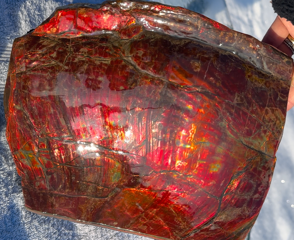 Ammolite Display Gem! , Collector's Gem, Handheld Specimen  Keel section piece,Double-sided,Fossi,Metaphysical,Home Decor,　CS-254 FREE SHIPPING