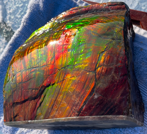 Ammolite Display Gem! , Collector's Gem, Handheld Specimen  Keel section piece,Double-sided,Fossi,Metaphysical,Home Decor,　CS-254 FREE SHIPPING
