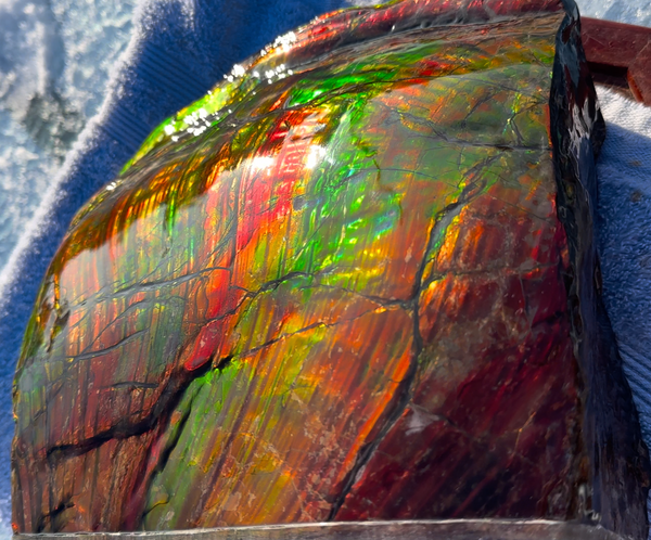 Ammolite Display Gem! , Collector's Gem, Handheld Specimen  Keel section piece,Double-sided,Fossi,Metaphysical,Home Decor,　CS-254 FREE SHIPPING