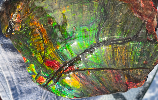Ammolite Display Gem! , Collector's Gem, Handheld Specimen  Keel section piece,Double-sided,Fossi,Metaphysical,Home Decor,　CS-254 FREE SHIPPING
