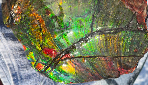 Ammolite Display Gem! , Collector's Gem, Handheld Specimen  Keel section piece,Double-sided,Fossi,Metaphysical,Home Decor,　CS-254 FREE SHIPPING