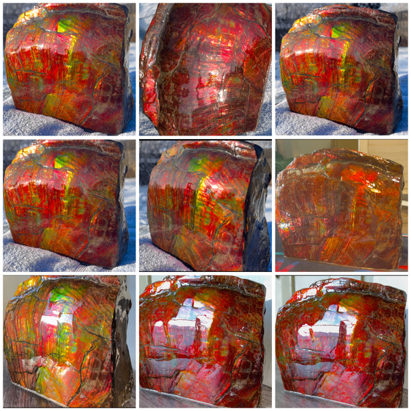 Ammolite Display Gem! , Collector's Gem, Handheld Specimen  Keel section piece,Double-sided,Fossi,Metaphysical,Home Decor,　CS-254 FREE SHIPPING