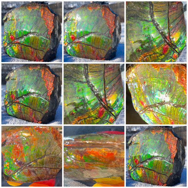 Ammolite Display Gem! , Collector's Gem, Handheld Specimen  Keel section piece,Double-sided,Fossi,Metaphysical,Home Decor,　CS-254 FREE SHIPPING