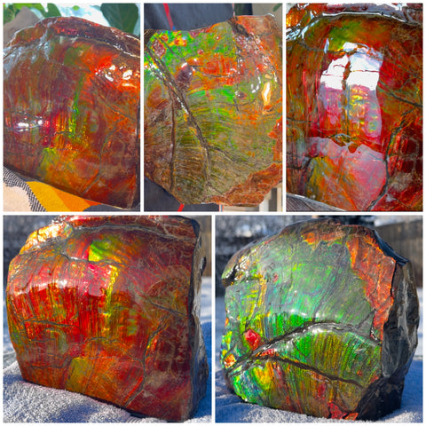 Ammolite Display Gem! , Collector's Gem, Handheld Specimen  Keel section piece,Double-sided,Fossi,Metaphysical,Home Decor,　CS-254 FREE SHIPPING