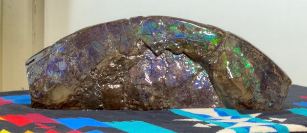 AF-137 HUGE Placenticeras  Canadian Ammolite  Ammonite Partial Fossil  Huge Specimen FREE SHIPPING! アンモライト両面巨大標本！　送料無料