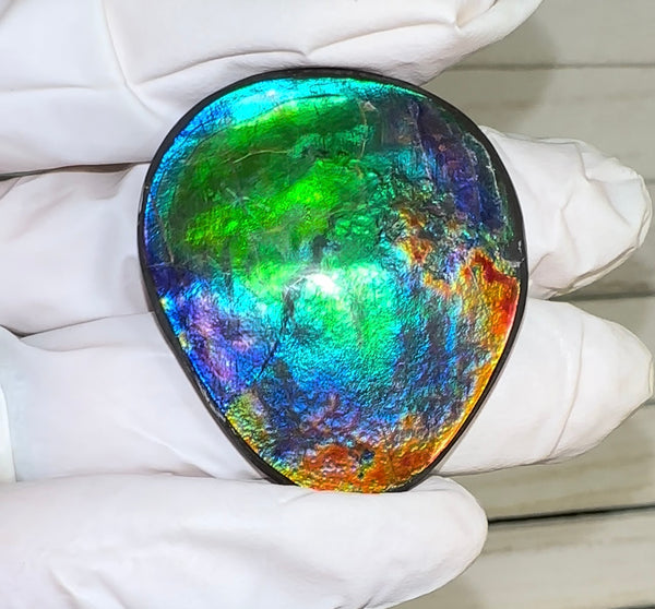 42x36x4.5㎜ Natural  Free Form . FFNT 189  Ammolite  Floral BEAUTY FREE SHIPPING! ナチュラル　ルース　アンモライト フリーフォーム